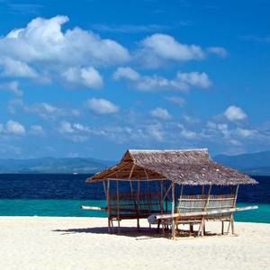 Meet your Posher, Seddrick